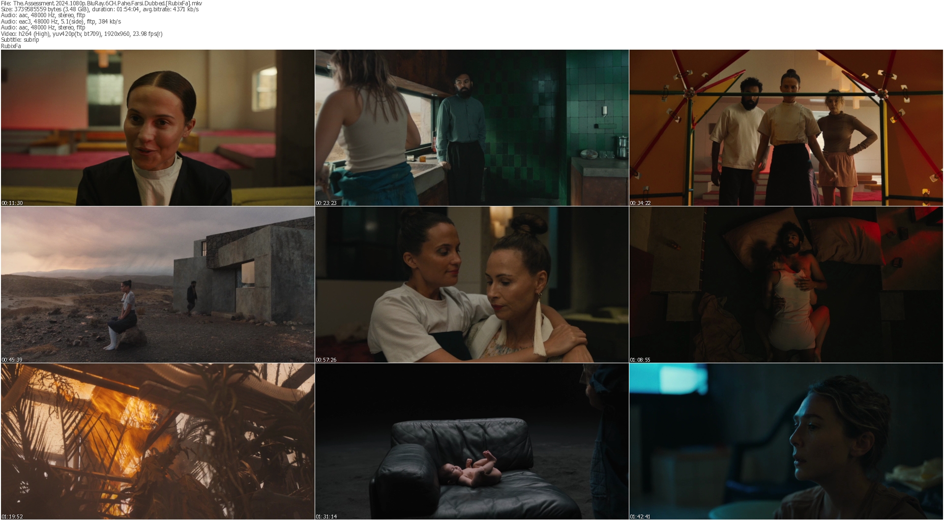 دانلود فیلم The Assessment 2024 دوبله فارسی